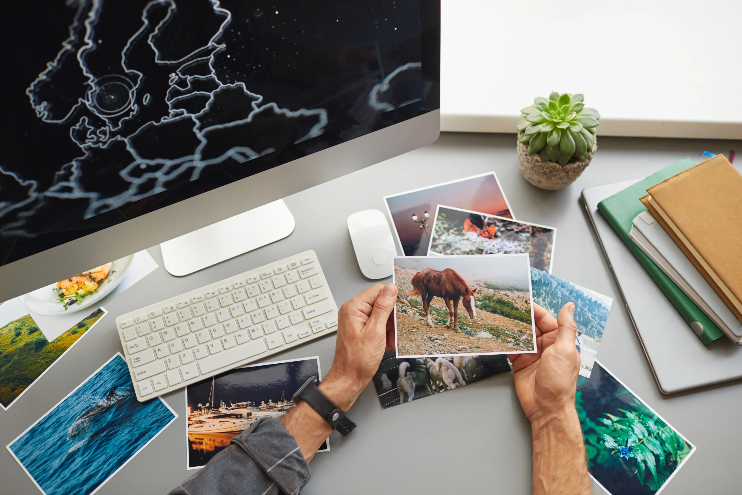Top view of hands holding colorful printed photographs with nature, animals, and travel themes on a desk with a computer, keyboard, notebooks, and a small potted plant.